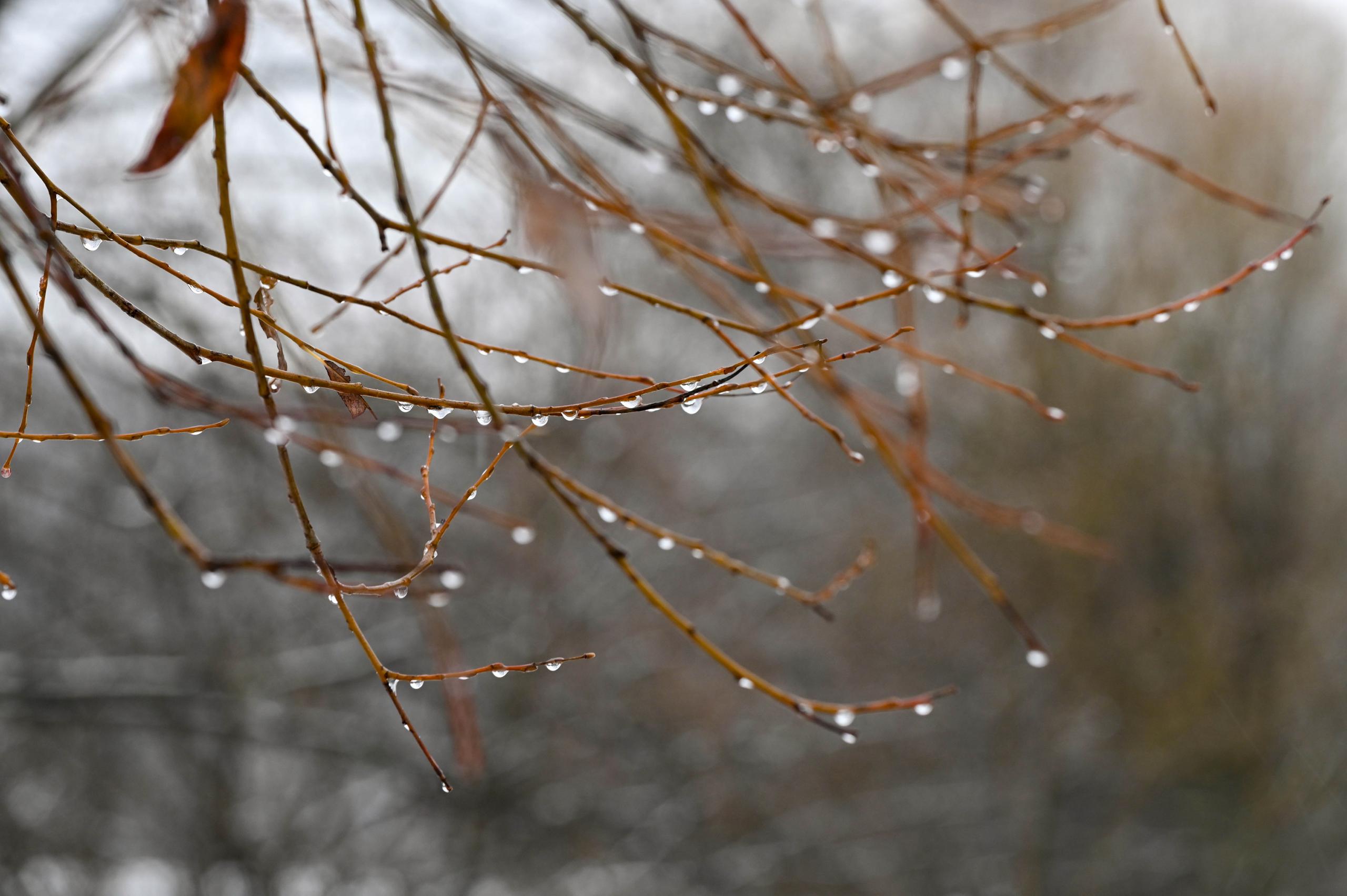В ближайший час в Москве местами ожидается ледяной дождь