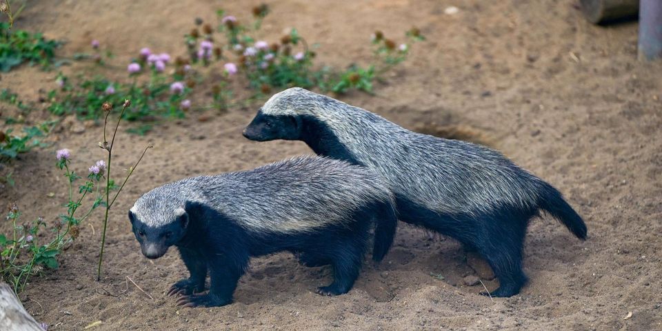 ��������� ���� ������ � �������� � ����� ��������� � ��������