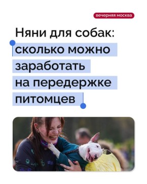 ��������� ����� ������� �������: ���� ����������� �� ����� � ���������� ������ ��� ����� �����, ������� ��� ������� ��������