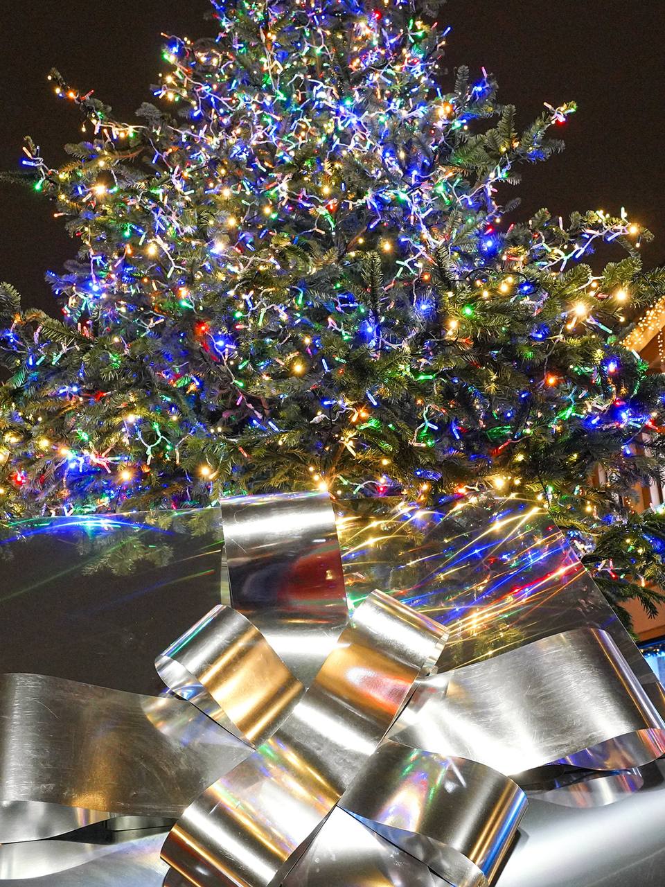 В Москве открылась выставка дизайнерских елей В Москве открылась выставка дизайнерских елей