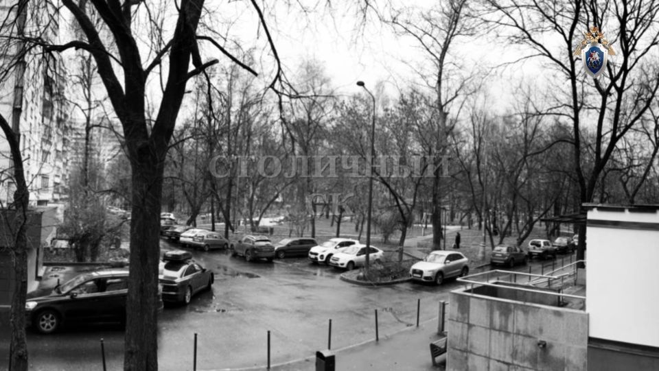 ������������� ���������� �� �������� ����� ������ ������������, ����������� � 2007 ����