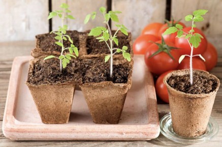 ������� �������� ������� �������: ��� �� ����� � �������� ������