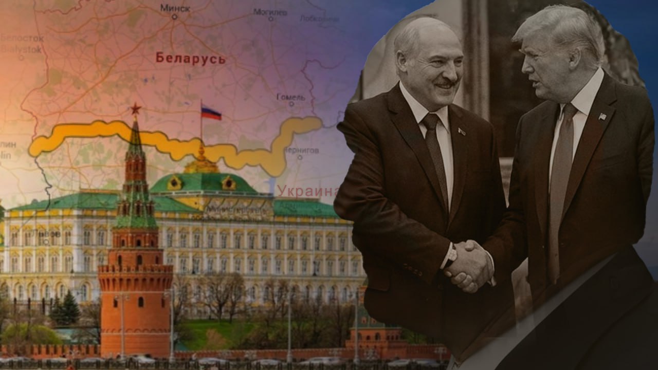 Пусть собаки лают – караван продолжит свой путь