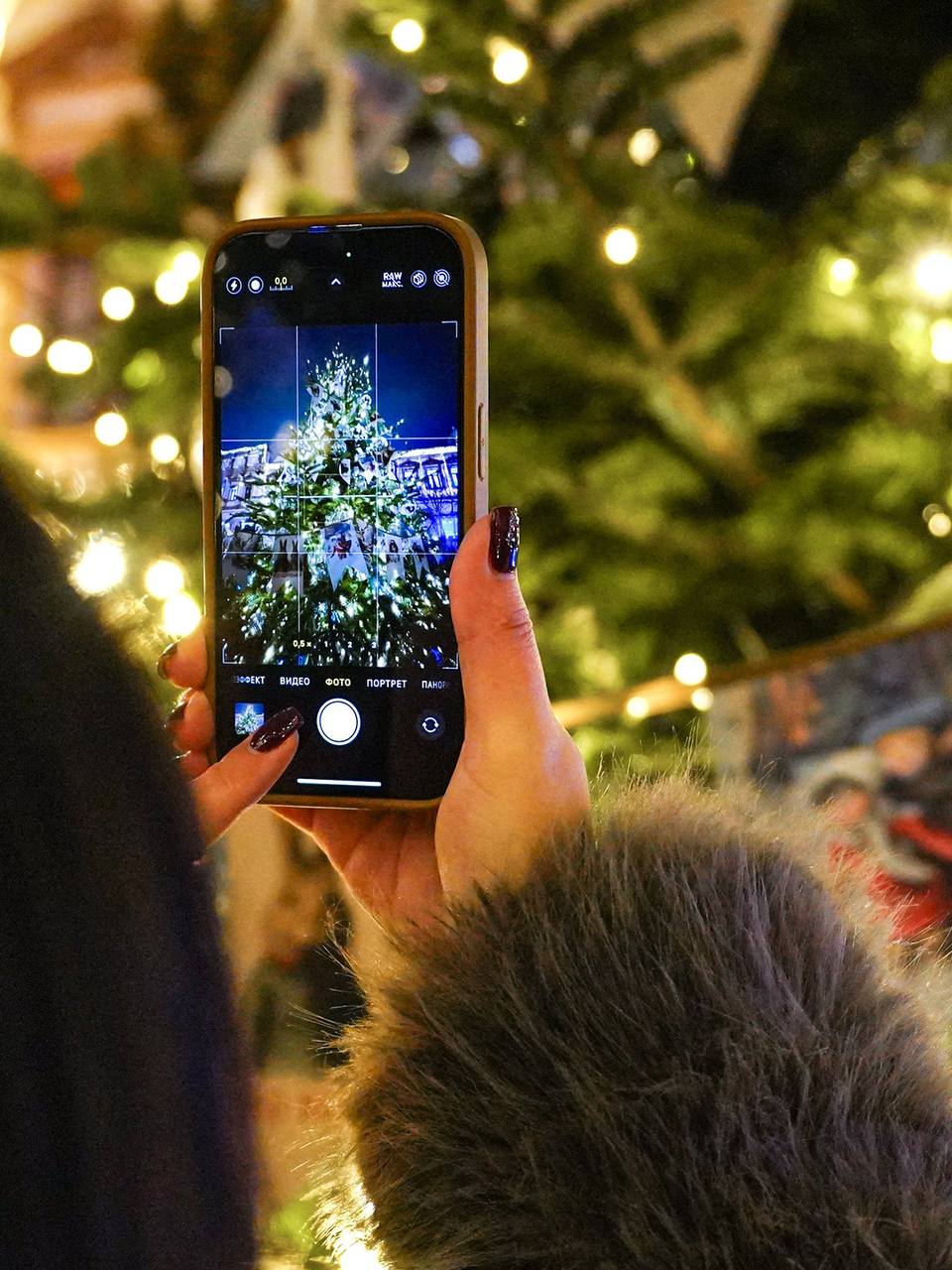 В Москве открылась выставка дизайнерских елей В Москве открылась выставка дизайнерских елей