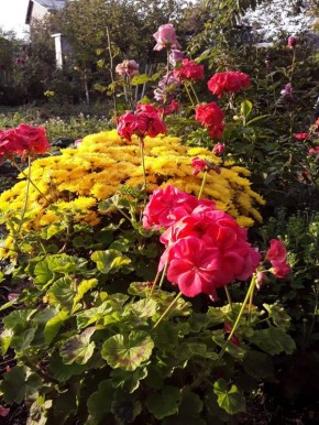 ������������ �������� ���������: ��� ����� ������������ ������ �� ������