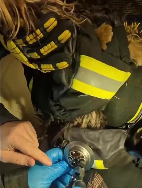 Лапка собачки застряла в решетке слива, когда хозяйка пыталась помыть питомца после прогулки