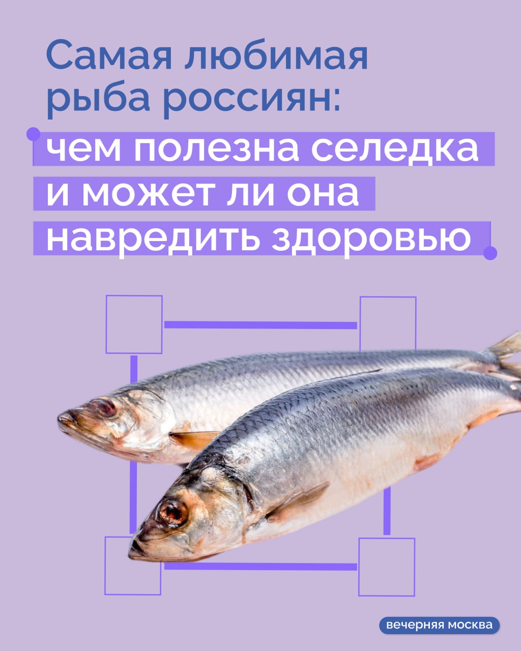 Селедка оказалась самой любимой рыбой россиян, обогнав по популярности лососевые породы, треску и скумбрию