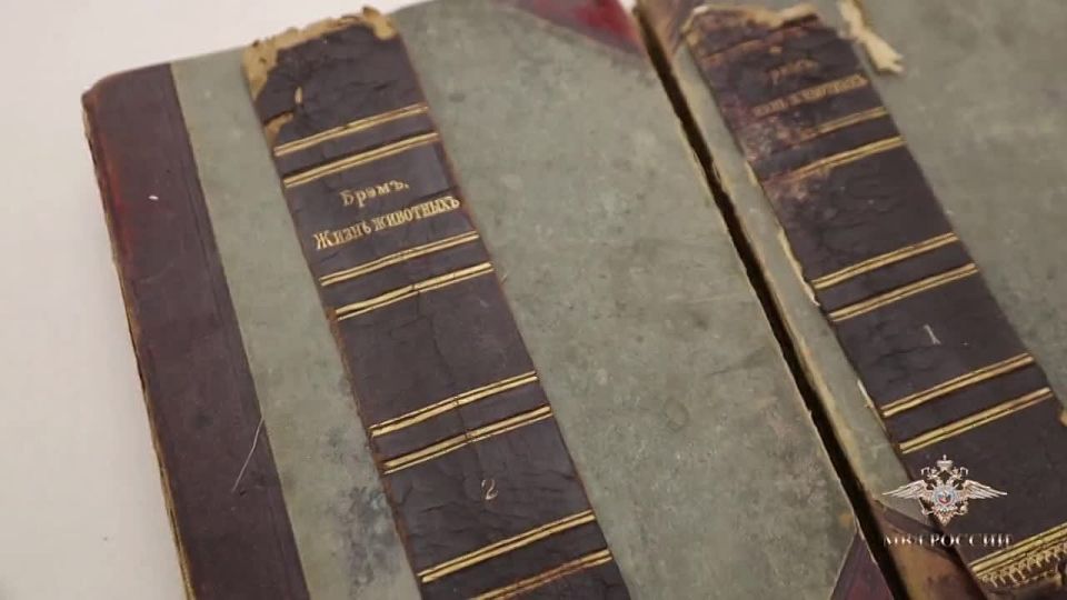 ����� ����: �� ������������ ������������� � � ������������ ���������