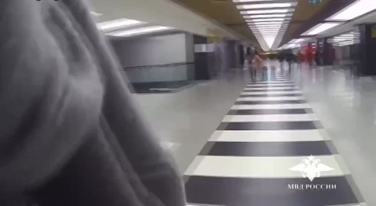 В аэропорту Шереметьево полицейскими задержана дебоширка, которая напала в самолете на певца Алексея Глызина