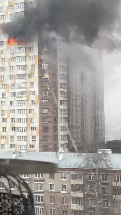 �� ������� ������ ����� �������� �� 15 ����� �������