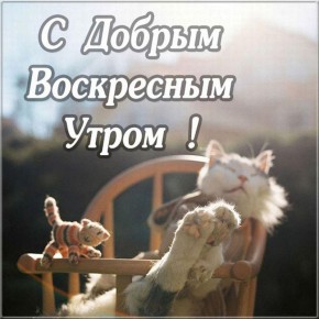 Доброе утро, москвичи!. Воскресенье — еще один день, когда можно отдохнуть и не думать о рабочих делах! Только отдых и хорошее настроение