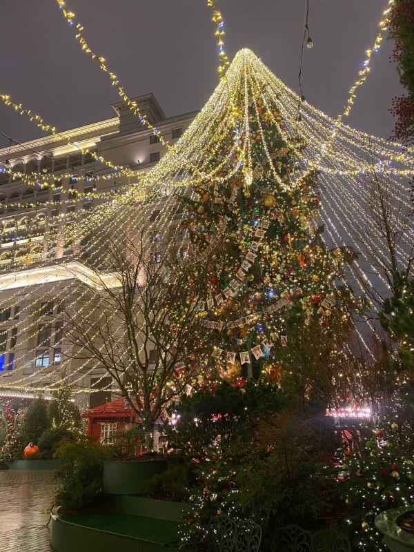 ���� ������: ������ �� ����.. ���� ������� �������� ������� ������! ��������� ��� ����� �����