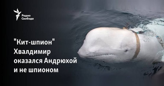 ���� ��������: ������� ����� ���������� ����������� ����� ������������� ������������� ��������, ��������� �������� ����������� ����� ��������� ������� ������� � ������������� ��������������, ������������� � �������� FT...