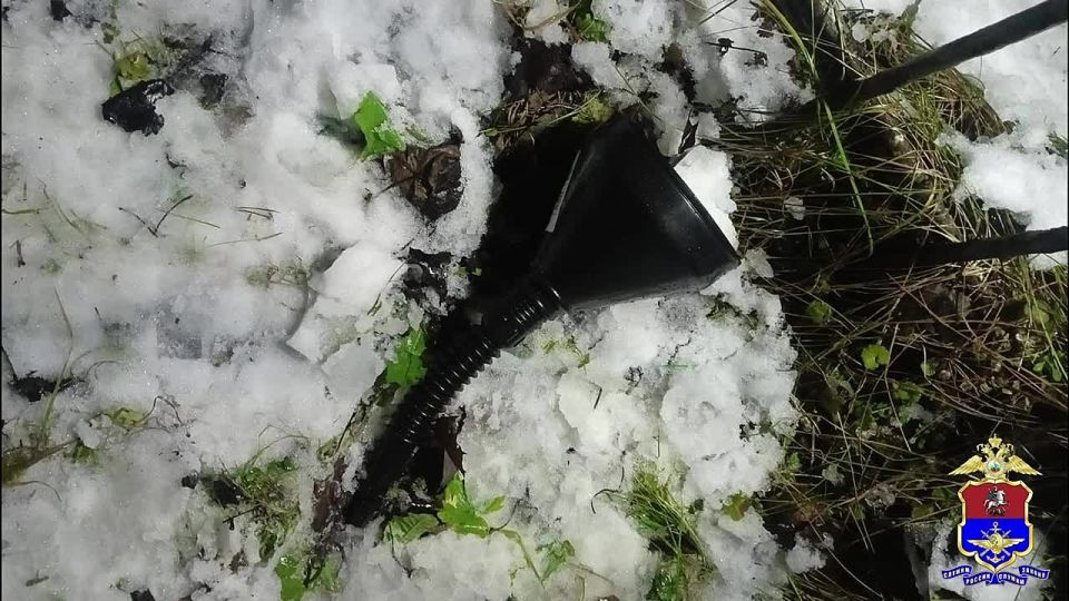 ������������ �������� ������ �� ������ ��������� ����� �������� ������������ � �������� ���������