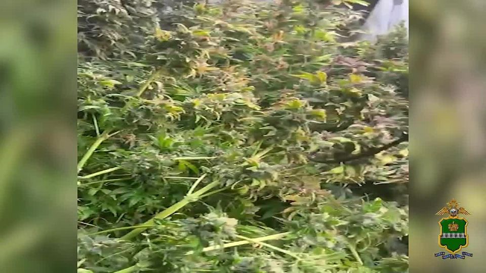 ��������� ����������� ��������� �������� �� ����������� �������������� �� ����������� �������