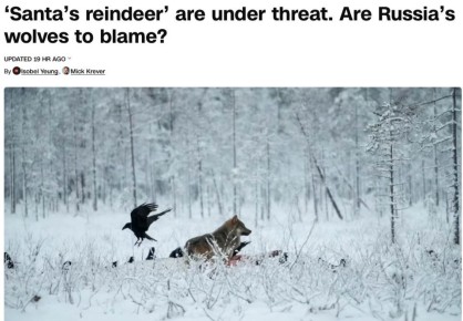 ���������� ������-��������� ������� ������ �����-������ � �������������� CNN