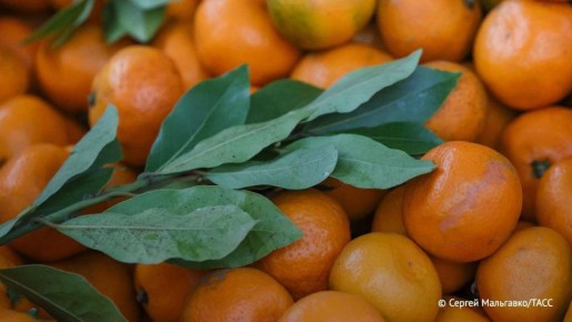 � ���� ������������� ������� �� ����� 5 ���������� �� ��������� ������������� �������, �������� ���� ������� �������� ������ �������� �����������