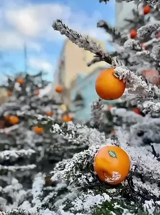 Москва уже готова к празднику — огни зажигаются, витрины сияют, улицы наполняются новогодним настроением