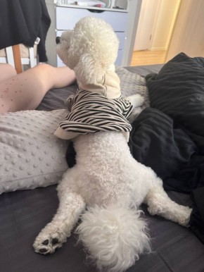 ������ �������� ����� ����� ��������� �������-������ � ������