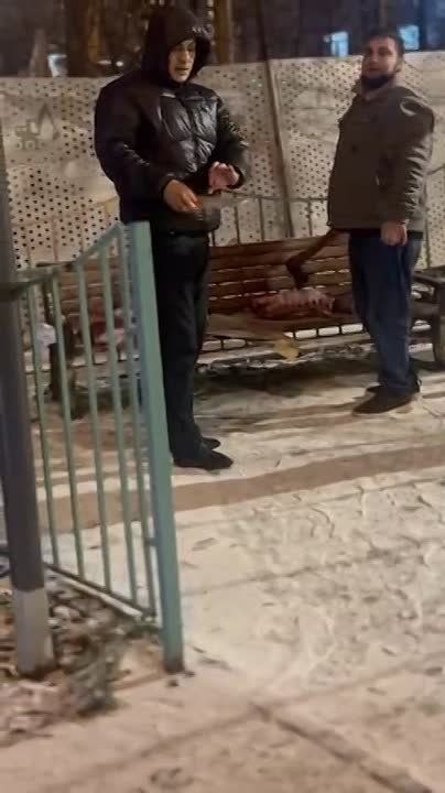 ������ ��������: ��� ���������� � ������, ������