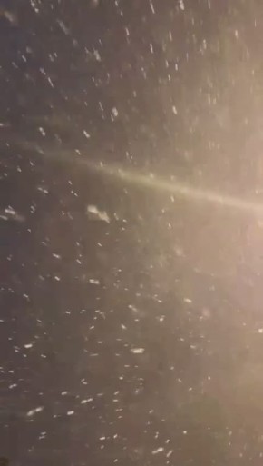 ����� ����: ����������� ��������� ������