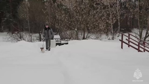 ������������ ����� - ��������������� ���������