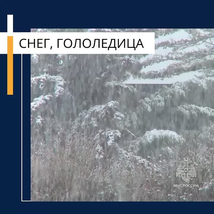 ��������� �������� � ����� �������