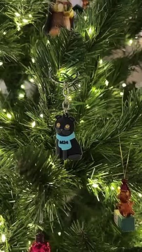 ��������� ��������� �������� ����