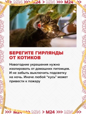 �������� �������� �� ���� ����� ����? �� �������� ��������� ����� ����