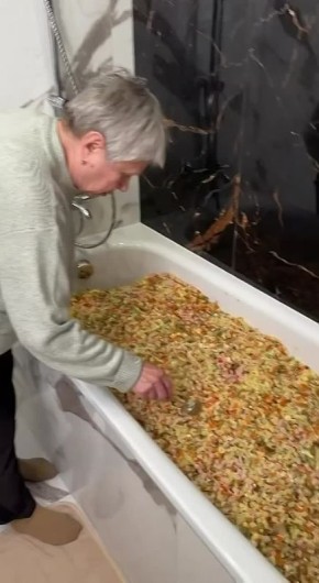 ������ ��������� � ��������