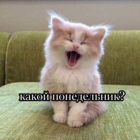 ������ ����, ��������!. ������� ��������� ����� �������� ������� ������, � �� ��������� �� �������� � �����