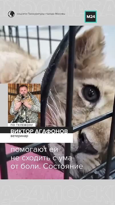 ���� �� ����, ��� ������. ����������� ������ �������� ����� ���������� � �������� ��������� � �������