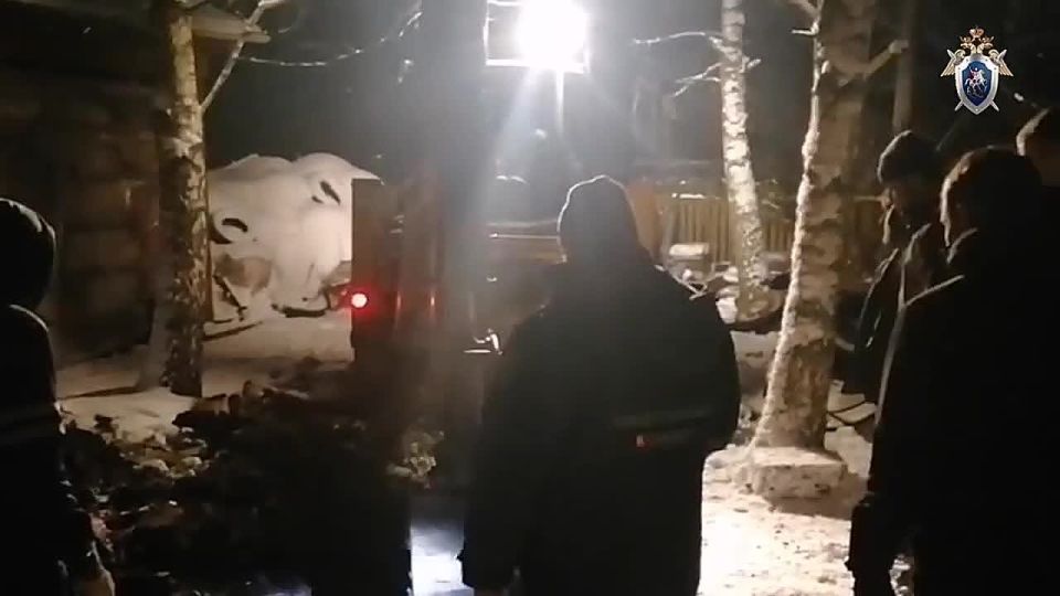 ���� ���� ������� ���������� �� ������� ������������� ������� � �����������