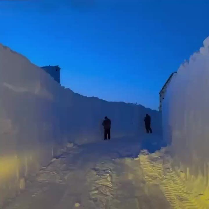 ���������: �� ����� ����!. � ������ � �����������, �� ������ �������������� ������, �������� ����� ���� ��� ����