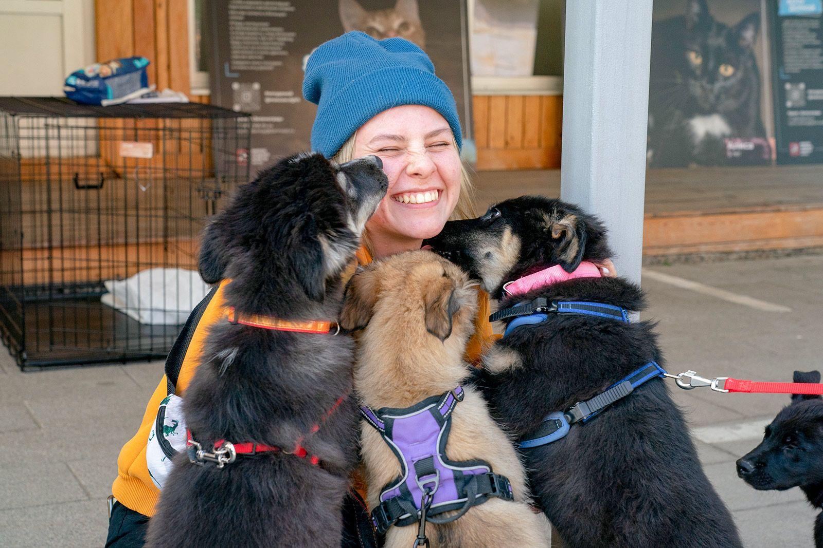 Длинные выходные — лучшее время для того, чтобы взять животное из приюта, ведь у него будет время адаптироваться в новом доме Длинные выходные — лучшее время для того, чтобы взять животное из приюта, ведь у него будет время адаптироваться в новом доме