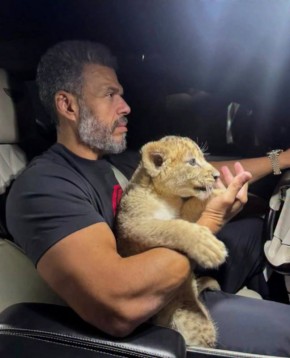 ����� �� � ��������� �������, ������� ������ ������ � �������� � �������-����, ������������ �������� ����� �������� �������� �� �������� �������