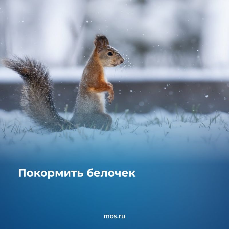 �������� ����� ������ ����� � ������ ������