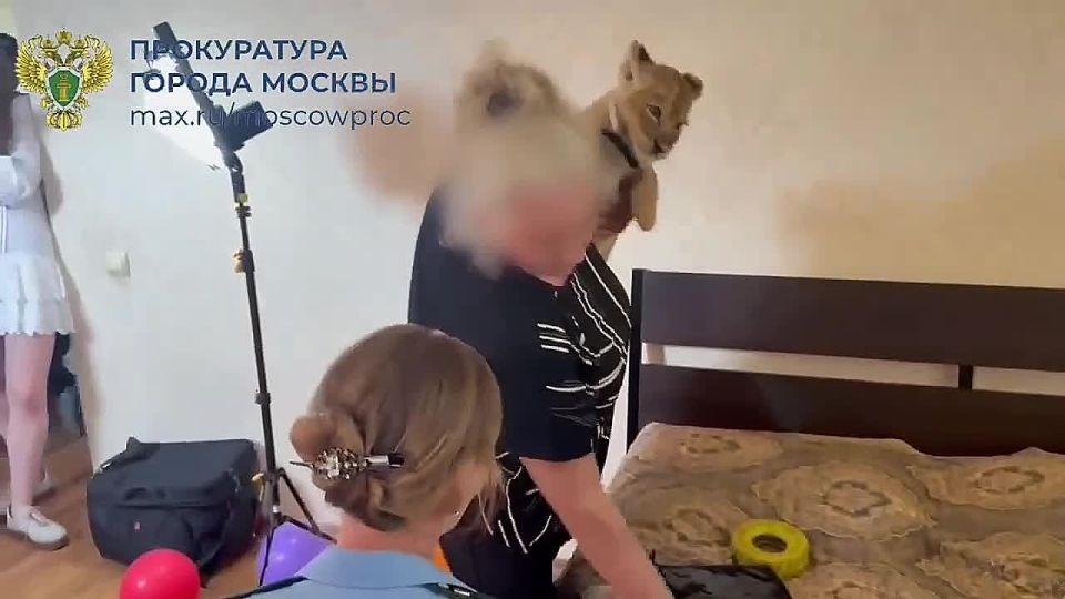 � ����� ������-����, �� ���� ��� ���������� ������������