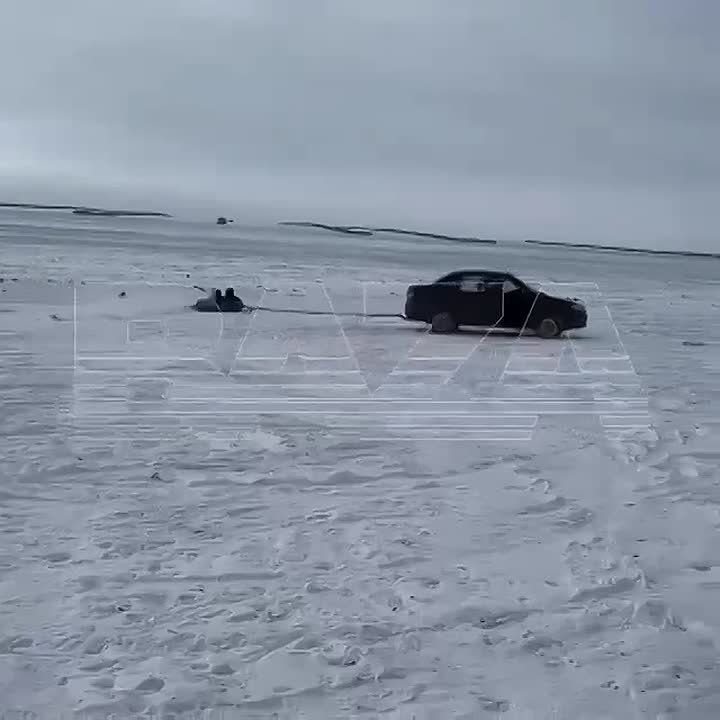 ���������� ������� �������: ������ ������ ������� ���������, ������� �� �����������