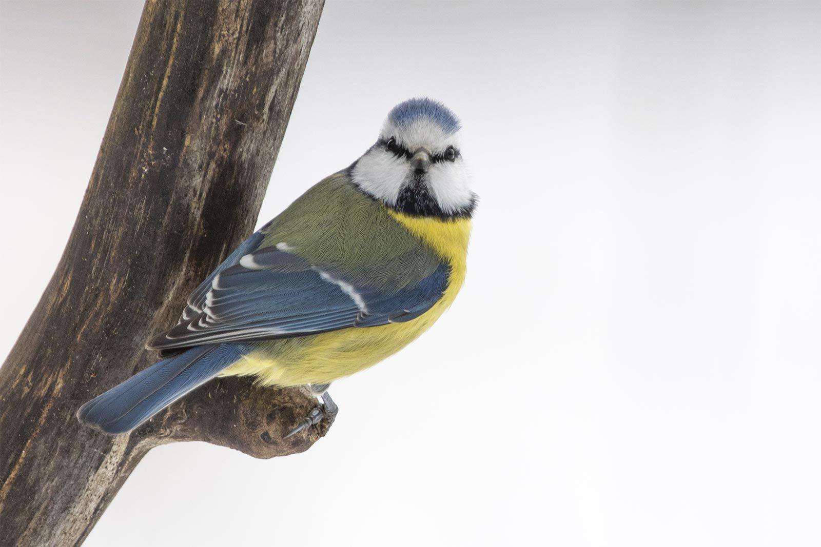 Долгие новогодние выходные — возможность разнообразить свой отдых прогулками на свежем воздухе Долгие новогодние выходные — возможность разнообразить свой отдых прогулками на свежем воздухе