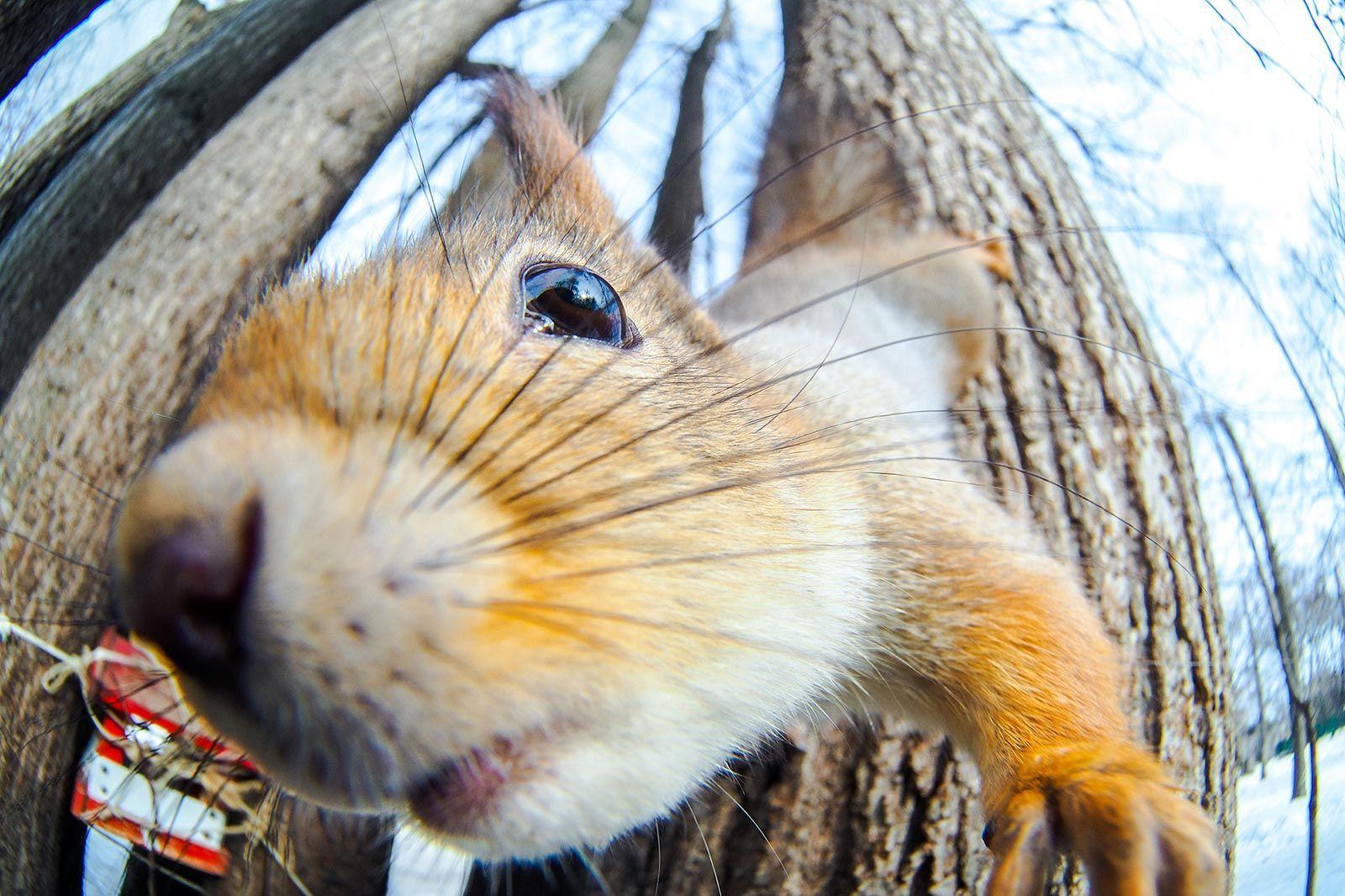 Долгие новогодние выходные — возможность разнообразить свой отдых прогулками на свежем воздухе