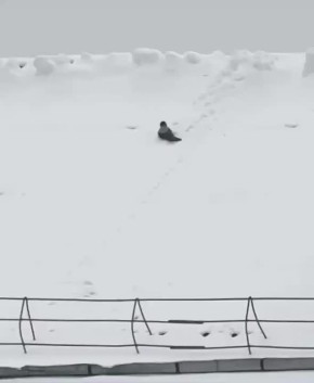 ���� � ������� ���� ������ ���, ���� �����!