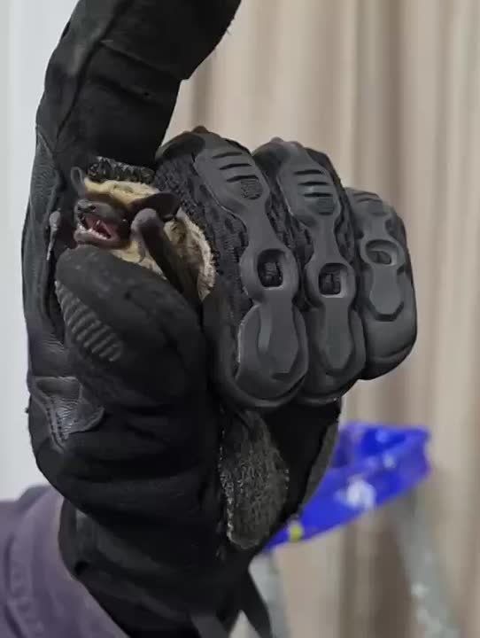 ������ � ������� ������, ����� ������� ���� �������� �������� �� ��������, ��������� � ������