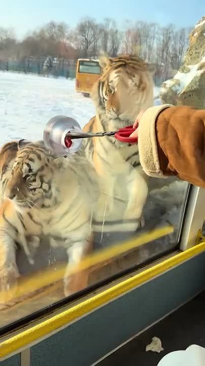 ����� � ����� �� ��������� ��������� ������ �������, ��� ��������� ����������� �� ����, ������� �� �������� ����������