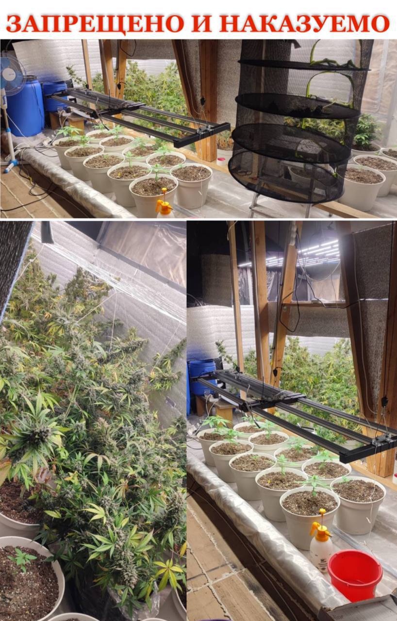 С учетом позиции Перовской межрайонной прокуратуры заключен под стражу мужчина, причастный к незаконному обороту наркотиков