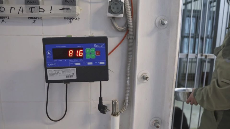 ����� ������ ����� ��� ����� 80 �����������!