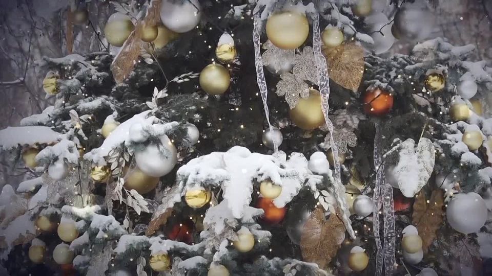 ������� ����������: ������� ��������! �� ���� ���� ���������� ����������� ���������