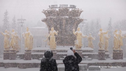 � ������ � ��������� ��������� ����� ��������� ������� �������� � ������� �����, ���������� � Telegram-������ ���������� ��������� ���������� ���������