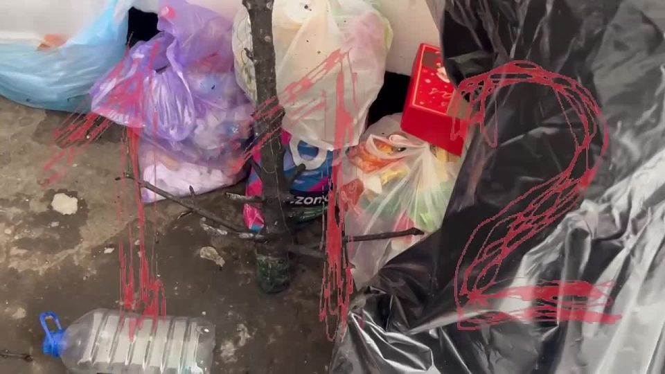 Гирлянда в прямом смысле зажгла новогоднюю ёлку в квартире в районе Митино