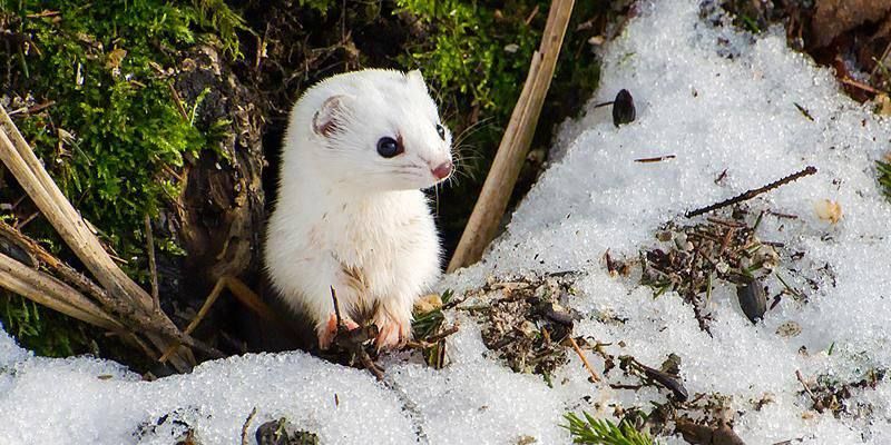 ����� � ���������� ������ ����� ��������� ���, �����, ��� � ���� ����������